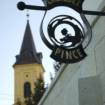 Erzsebet Pince דירה טוקאי
