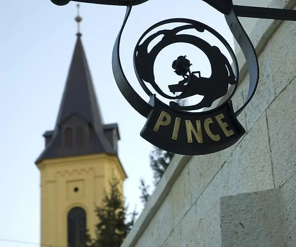 Erzsebet Pince شقة توكاي